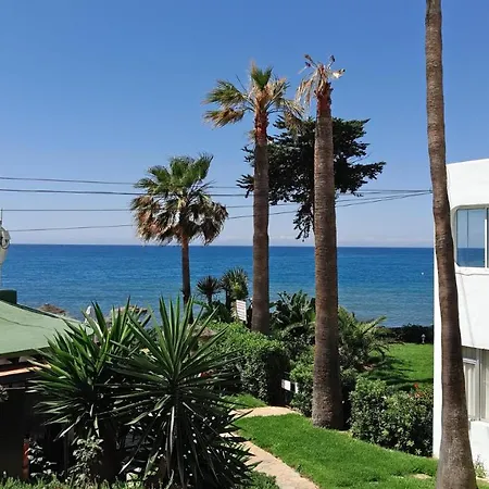Flores Del Mar